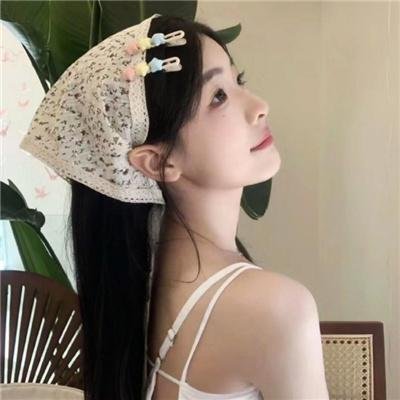 夏日大追击封面