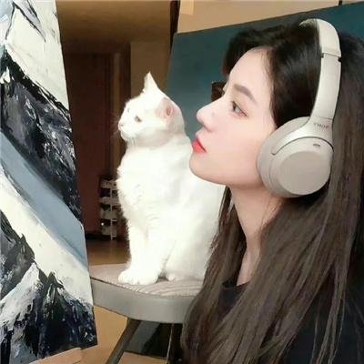 新吊带袜天使封面